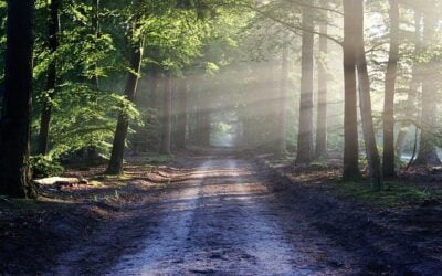 7 Small Changes That Will Make a Big Difference with Your Sponsorship Program